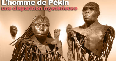 l'homme de Pékin